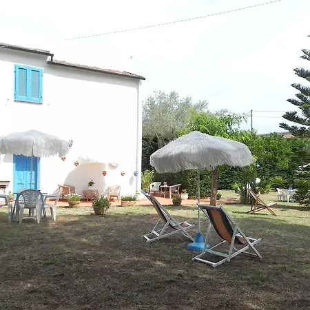 Brunella